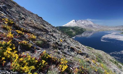 Mt St Helen and Spirit Lake