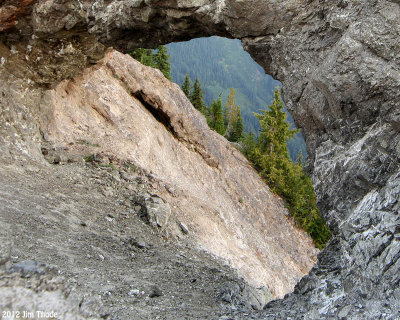 Sanctuary Arch