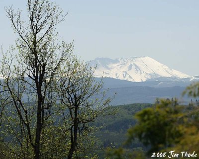 Mt St Helens from Lot 7