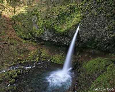 Ponytail Falls