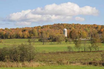 Solitary Silo
