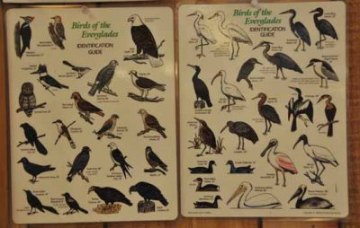 Everglades version of a media guide ...