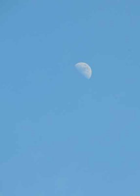 Not A Cloud In The Sky