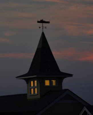 Weather Vane Silouette