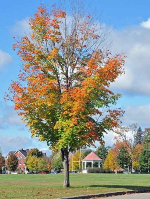 Another North Campus