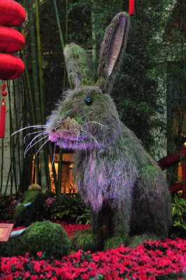 Bellagio Bunny