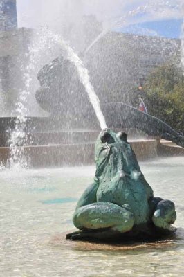 Fountain of Frog Spit
