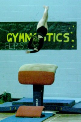2008 VT State Gymnastics