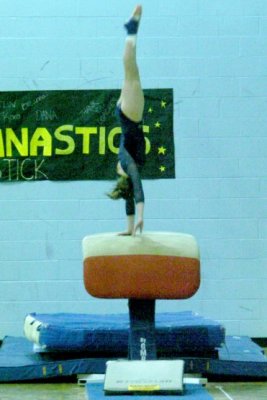 Handspring Vault