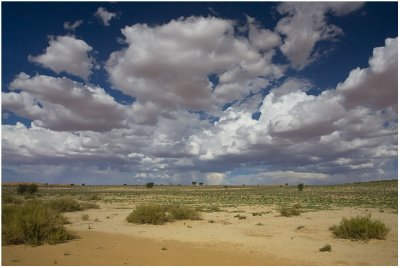 Kalahari Clouds