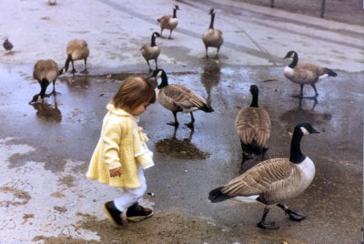Another Goose!
