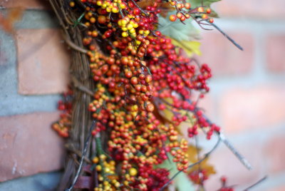 IMGP1883 A40:1.4@f1.4.jpg