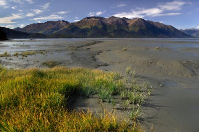 Bird Point 9-11-09