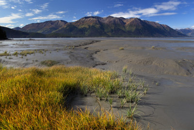 Bird Point 9-11-09