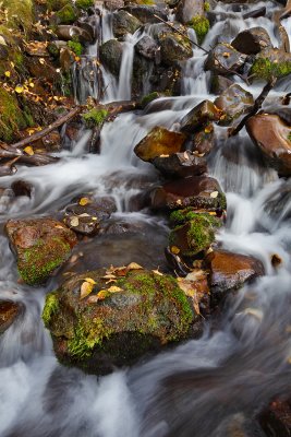 Rainbow Creek 4899 (10-2-09 TS Lens)