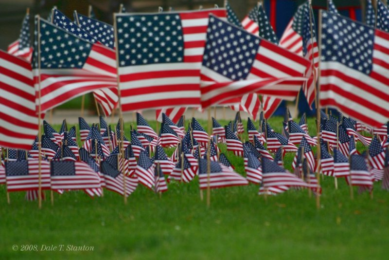 Flags - IMG_8865.JPG