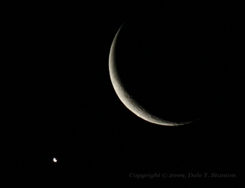 Moon Companion - IMG_6087.JPG