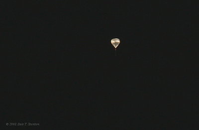 Weather Balloon - IMG_9593.JPG