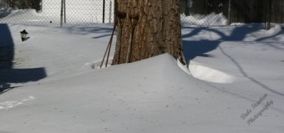 Perspective - IMG_5133.JPG