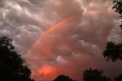 Rainbow - IMG_5589.jpg