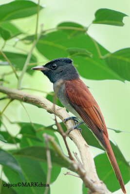 DSC_2237.jpg