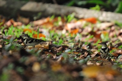DSC_5720.jpg