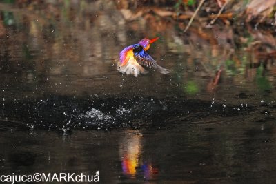 DSC_6737.jpg