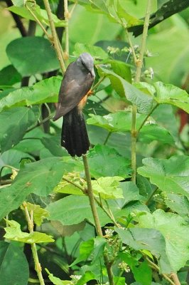 DSC_7550.jpg
