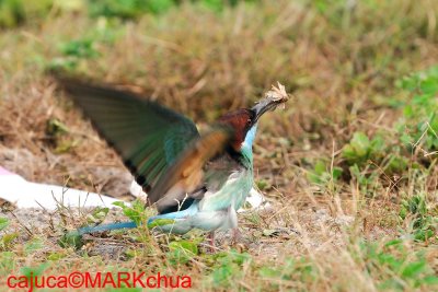 DSC_1119.jpg