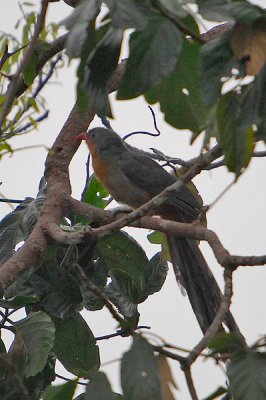 DSC_3178.jpg