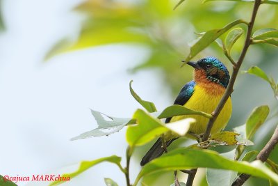DSC_9275.jpg
