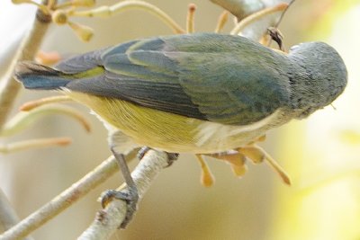 DSC_9267.jpg