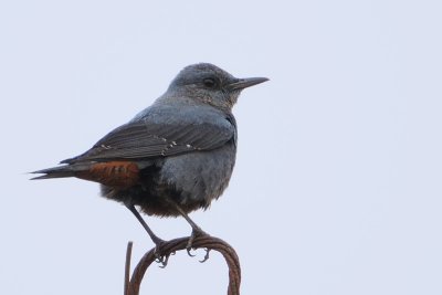 DSC_8959.jpg