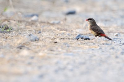 DSC_5387.jpg