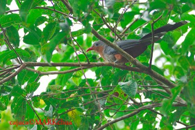 DSC_8179.jpg