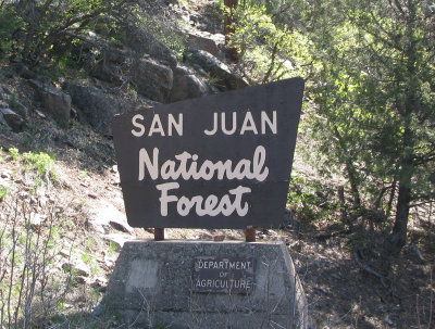 San Juan Forest.jpg