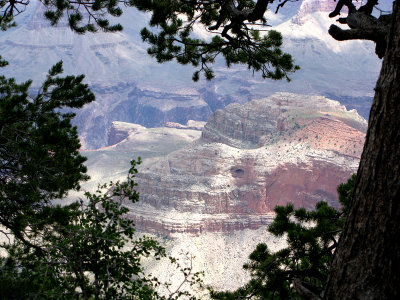 Grand Canyon 3.jpg