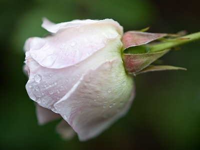 g1/18/553318/3/114764030.ujPUenoH.jpg