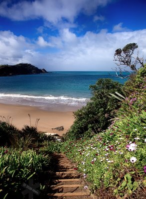 Whangaumu Bay