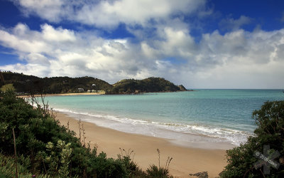 Whangaumu Bay II