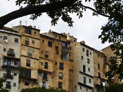 P1000866.jpg