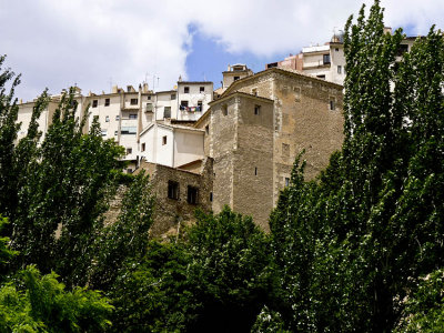 P1000873.jpg