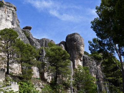 P1000933.jpg