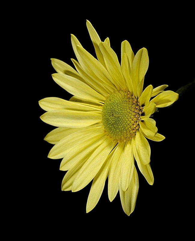 Resize of _DSC7883.jpg