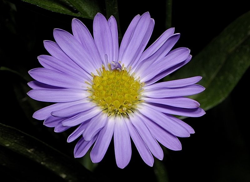 Resize of _DSC0263.jpg