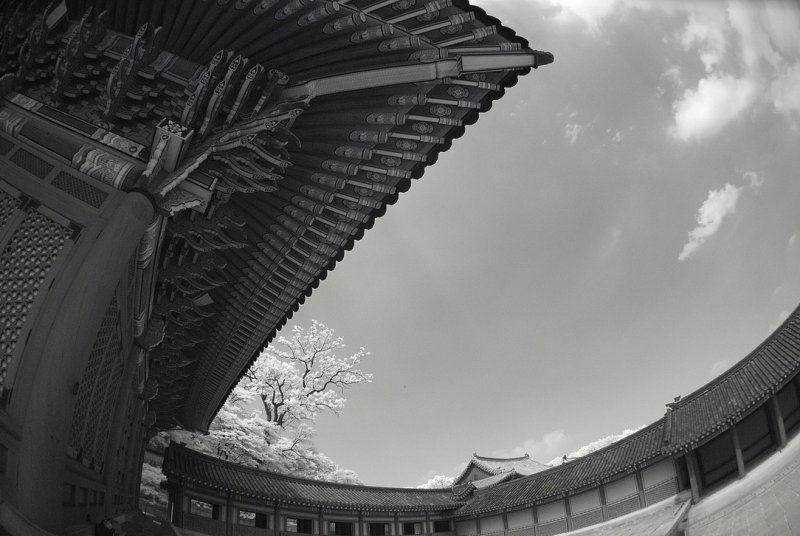 Resize of _DSC5541.jpg
