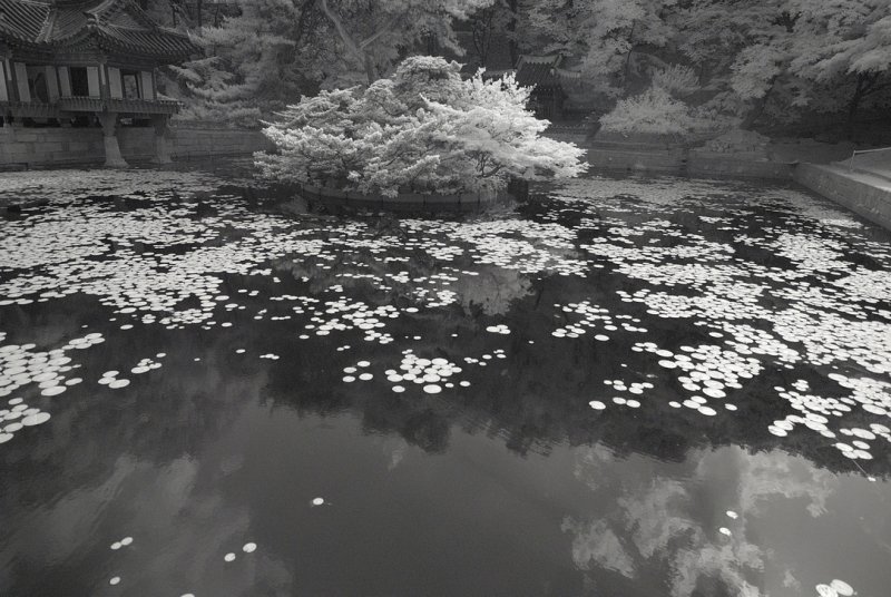 Resize of _DSC5606.jpg