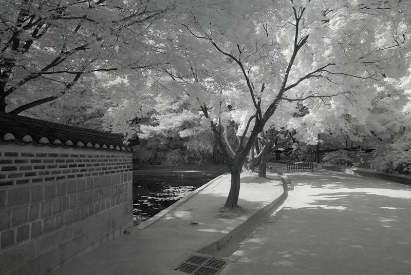 Resize of _DSC5641.jpg