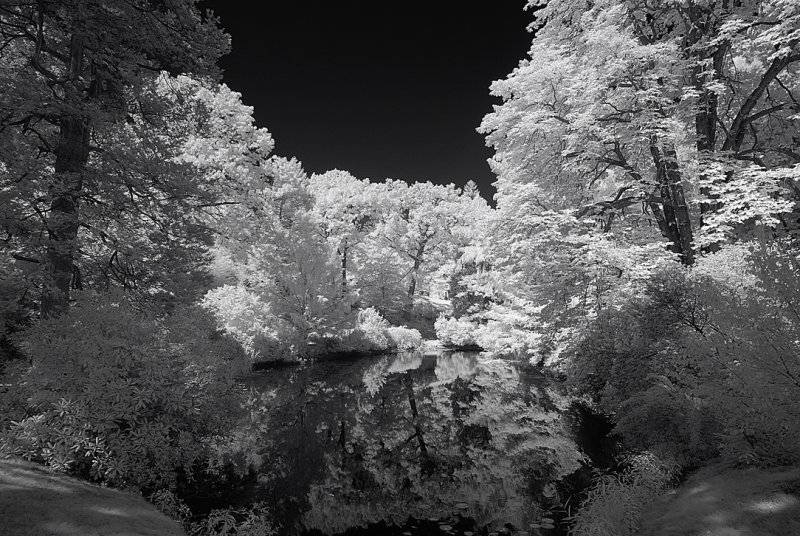 Resize of _DSC0407.jpg