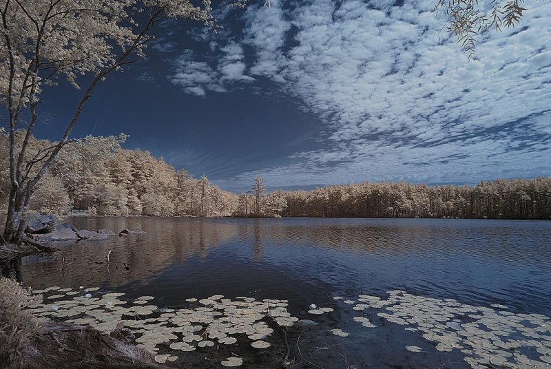 Resize of _DSC1980.jpg